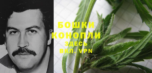 герыч Арсеньев